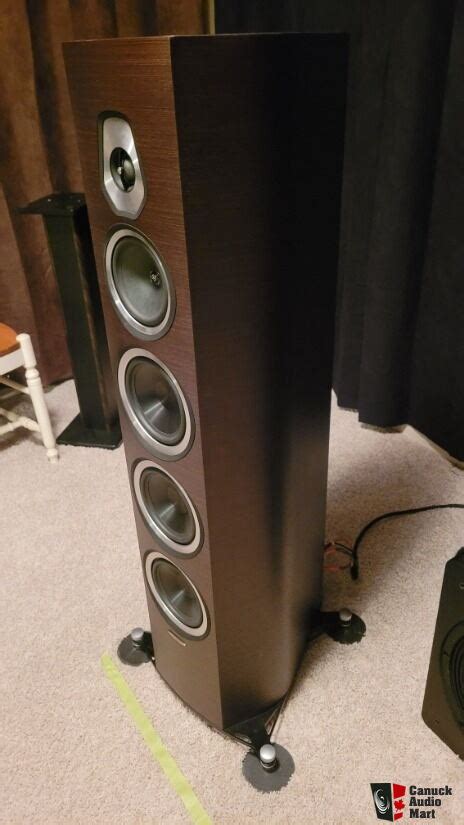 Sonus Faber Sonetto Viii Photo Us Audio Mart