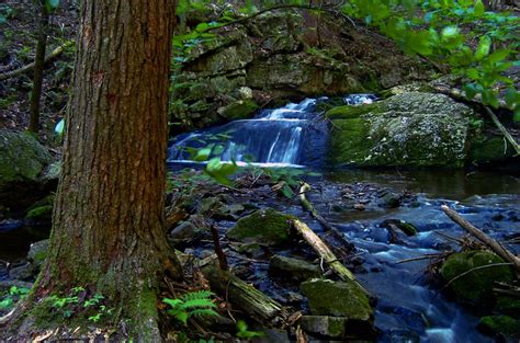 Kostenlose Foto Landschaft Baum Wasser Natur Wald Rock