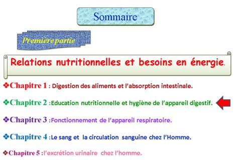 Activité 3 La ration alimentaire Preparia