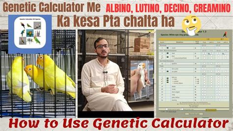 Genetic Calculator Ma Albino Cremino Decino Lutino Kesy Select Krn