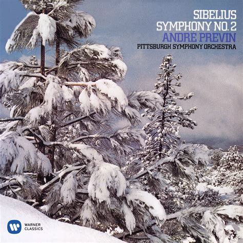 Sibelius: Symphony No. 2, Op. 43 | Warner Classics