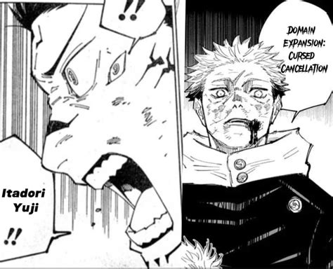 This Truly Was Our Jujutsu Kaisen Rjujutsufolk