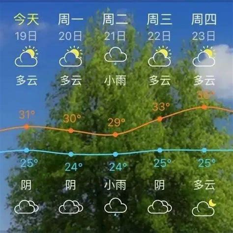 329℃！南安出太阳了！然而气温天气金英