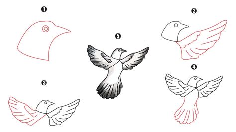 Flying Bird Drawing || Step by Step Tutorial - Cool Drawing Idea