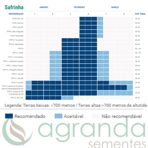 Semente Milho H Brido Feroz Vip Tft Fortenza Maxim Epivio Agranda