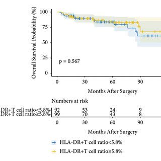 The Prognostic Value Of The Hla Dr T Cell Ratio In Patients With Hcc