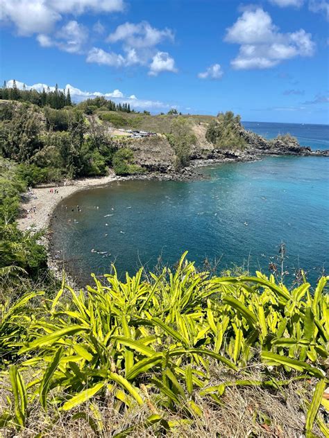 Honolua Bay Snorkeling Adventure Boss Frog S Hawaii