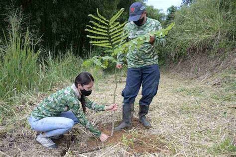 D A De Proteger Y Conservar Los Ecosistemas Urbanos De La Regi N El