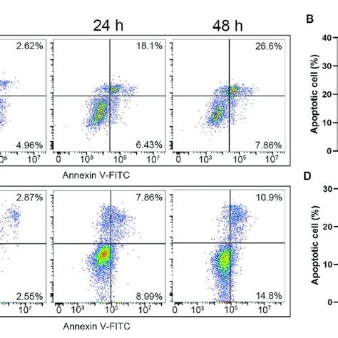 Pro Apoptotic Effect Of PL DFX In HGC 27 And DLD 1 Cells A B