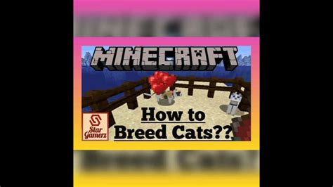 How To Breed Cats In Minecraft For Basic Learners Youtube