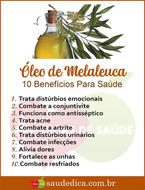 Os Benef Cios Do Leo De Melaleuca Para Sa De Leo De Melaleuca