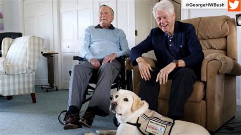 Former President George H.W. Bush gets his own service dog named Sully