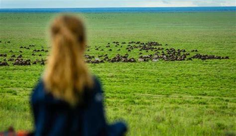 Safari De D As Al Parque Nacional De Tarangire Y Al Crat Ngorongoro