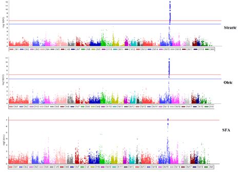 Manhattan Plots Of Genome Wide Association Study Gwas For Stearic