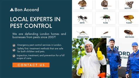 Pest Control London Get Rid Of Pests With Bon Accord