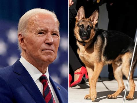 La Gobernadora De Dakota Del Sur Propone Matar Al Perro De Joe Biden