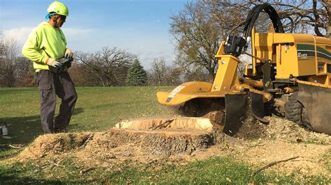 Stump Grinding Dawsons Tree Service