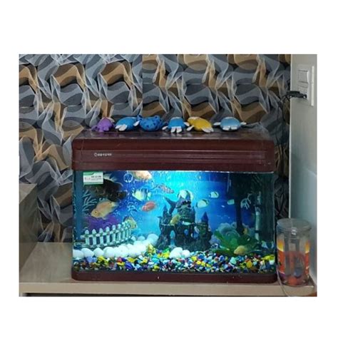 Sagar Glass Pond Fish Aquarium At Rs 12000 Unit In New Delhi ID