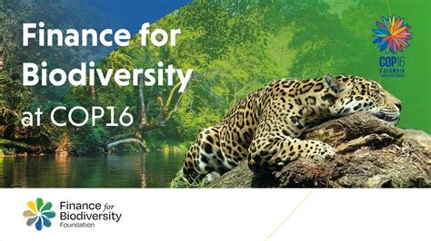 Finance For Biodiversity Foundation At Cop16 Finance For Biodiversity Foundation