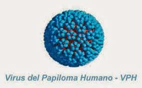 Salud Ginecologica LA INFECCION POR EL VIRUS DE PAPILOMA HUMANO VPH