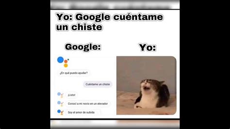 Meme del gato riéndose YouTube