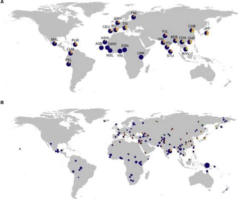 Improving Our First Line of Defense: Neanderthal Genes | Ancient Origins