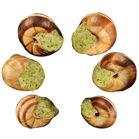 Escargot Snail Shells 12 Count Ebay