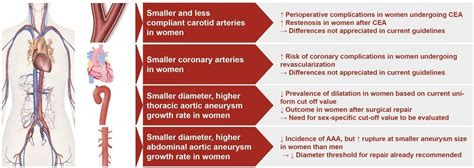 Heartbeat Time For Action To Eliminate Sex Disparities In Management