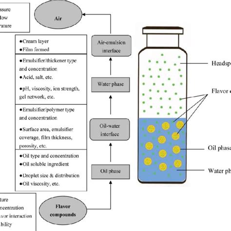 (PDF) Food Emulsions as Delivery Systems for Flavor Compounds― A Review