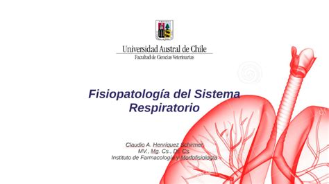 Fisiopatolog A Del Sistema Respiratorio By Claudio Henr Quez On Prezi