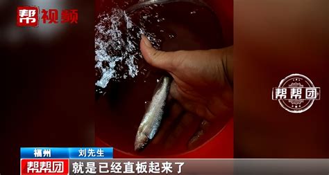 维权时刘先生无语了：哪里能开到鱼的死亡证明？ 哔哩哔哩