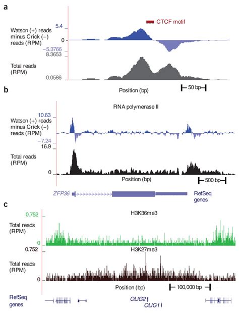 Chip Seq Peak Types From Various Experiments Ac Data Shown Are From