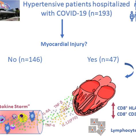 Schematic Illustration Of The Main Findings Immune Biomarkers