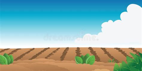 Cartoon Farm Field Illustration