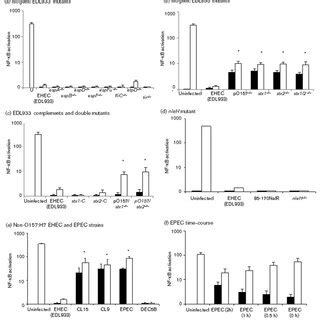 EHEC O157 H7 Infection Prevents TNFa And IL 1b Induced Activation Of