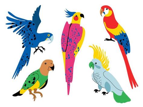 Parrot Clipart Vector Art, Icons, and Graphics for Free Download