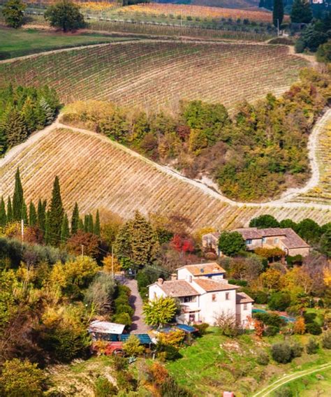 Andrea Bocelli 30 Yıl Özel Toscana Konseri Floransa Siena