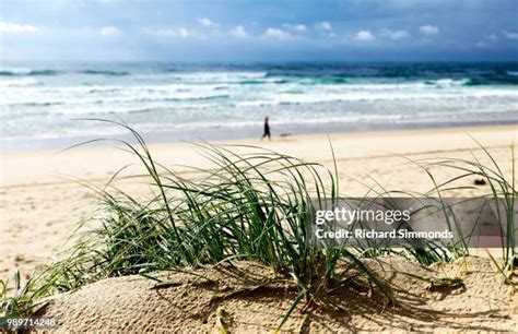 Peregian Beach Queensland Photos And Premium High Res Pictures Getty