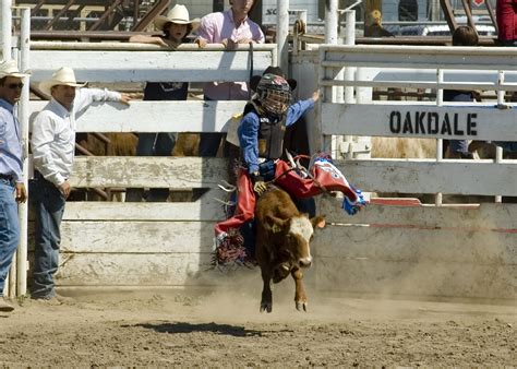 Annual Junior Rodeo Aug 18 Modestoview