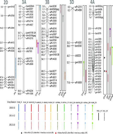 Linkage Maps Of Chromosomes 2d 3a 3b 3d And 4a Showing Qtl On The