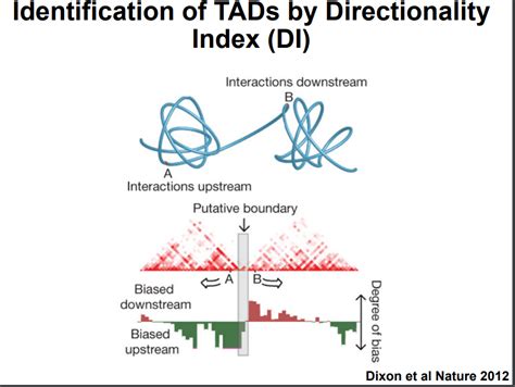 Genome Assembly BCH709 Introduction To Bioinformatics