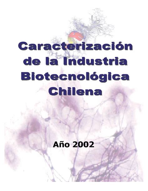 Año 2002