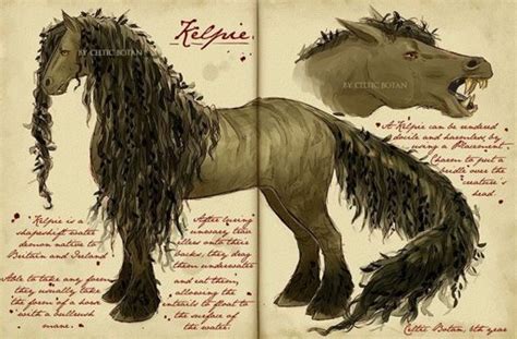 Kelpie | Wiki | Fantastic Beasts Amino