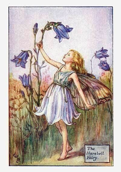 Harebell Flower Fairy Vintage Print Cicely Mary Barker The Flower