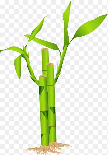 Bamboo Sticks Png Images PNGEgg