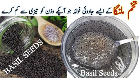 Magical Weight Loss Drink Tukh Malanga Basil Seeds Se Wazan Kam