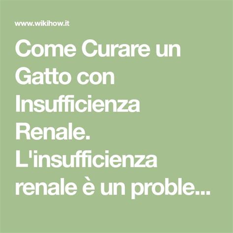 Come Curare un Gatto con Insufficienza Renale L insufficienza renale è