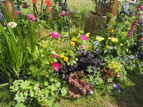 Why peat-free? - Peat Free Partnership