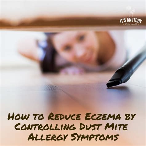 How to Reduce An Eczema Dust Mite Allergy Rash