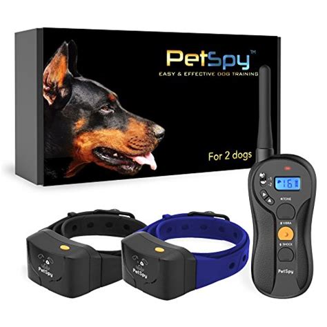 Whats The Most Powerful And Strong Shock Collar For Dogs Pet Dogs Life